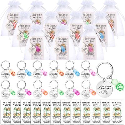 Ecation 12 Sets Positive Turtle Keychain Emotional Support Gift for End of Year Teacher Nurse Graduation Coworker Team Cna Week (Turtle)