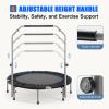 48" Foldable Mini Trampoline for Kids & Adults, Fitness Rebounder with 5-Level Adjustable Foam Handle, Max Load 450 lbs, Indoor/Outdoor Exercise Trampoline for Home Workouts (Silver) view 2