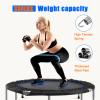 48" Foldable Mini Trampoline for Kids & Adults, Fitness Rebounder with 5-Level Adjustable Foam Handle, Max Load 450 lbs, Indoor/Outdoor Exercise Trampoline for Home Workouts (Silver) view 3