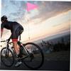 Parliky 2sets Rear Bike Flag Cycling Flags for Safety Bike Decorations for Parade view 4