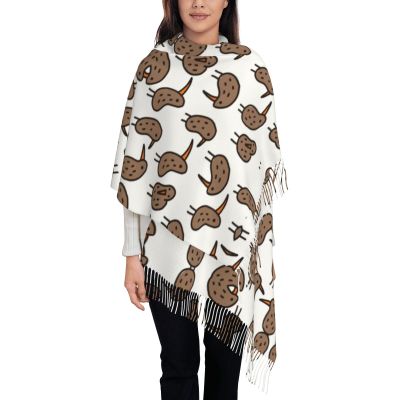 DRTGEDS Kiwi Birds Cute Cashmere Scarf Wrap Shawl,Scarf For Women Cashmere Neck Scarf Winter Scarf Fall Classic Warm