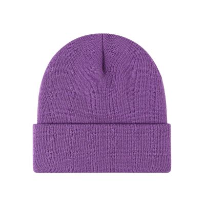 2THESTARS Beanie for Men Women Warm Winter Hat Windproof Thick Knitted Cuffed Unisex Skull Cap - Violet