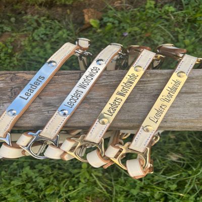 Leaders 3/4" Leather Halter for Horses with Customized Engraved Name Plate White Leather (Cob Size with Brass Hardware)