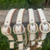 Leaders 3/4" Leather Halter for Horses with Customized Engraved Name Plate White Leather (Cob Size with Brass Hardware) view 2