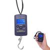 40kg x 10g Mini Digital Scale for Fishing Luggage Travel Weighting Steelyard Portable Electronic Hanging Hook Scale(NO Back Light) view 2