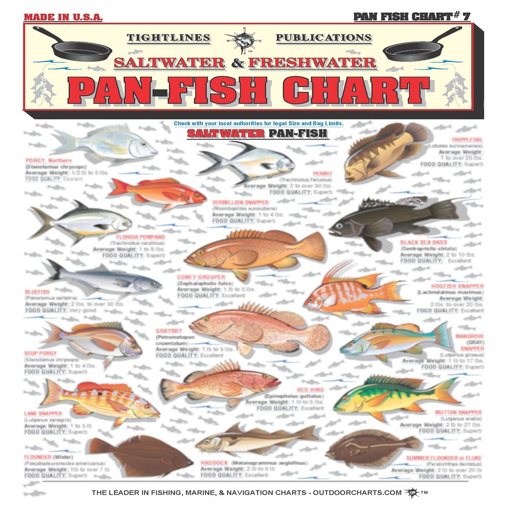 Pan-Fish Identification #7 (Saltwater & Freshwater) - Waterproof Quick Reference Guide | Portable & Built to Last | Double-Sided & Easy to Read | Includes Average Weight & Cooking Recipes
