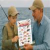 Pan-Fish Identification #7 (Saltwater & Freshwater) - Waterproof Quick Reference Guide | Portable & Built to Last | Double-Sided & Easy to Read | Includes Average Weight & Cooking Recipes view 4