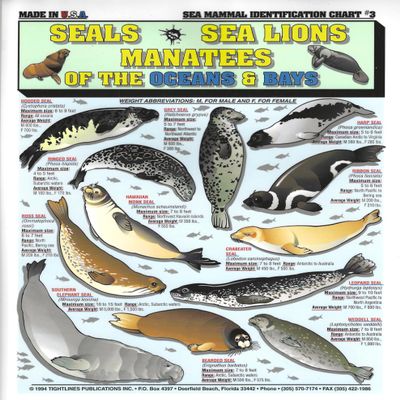 Sea Mammal Identification #3 (Seals, Sea Lions, and Manatees) - Waterproof Quick Reference Guide | Portable & Built to Last | Double-Sided & Easy to Read | (Size, Weight, and Location)