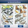Sea Mammal Identification #3 (Seals, Sea Lions, and Manatees) - Waterproof Quick Reference Guide | Portable & Built to Last | Double-Sided & Easy to Read | (Size, Weight, and Location) view 2
