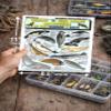 Sea Mammal Identification #3 (Seals, Sea Lions, and Manatees) - Waterproof Quick Reference Guide | Portable & Built to Last | Double-Sided & Easy to Read | (Size, Weight, and Location) view 3