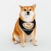 Bagel Lover Bagels Dealer Pet Scarf Washable Adjustable for Dogs Cat Pet view 1