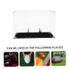 BRIGHTFUFU Tabletop Rugby Display Case Holder for Sports Collectibles for Showcasing Rugby Your Home Office view 2