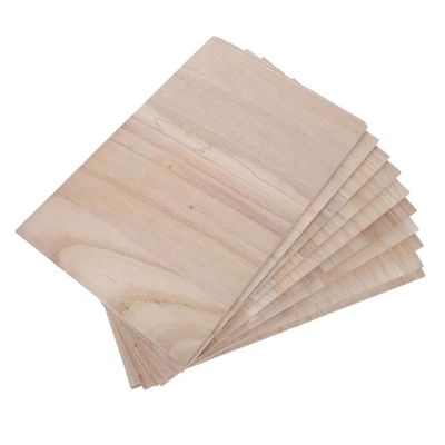 WHAMVOX 10pcs Taekwondo Training and Girls Punching Pad Portable Breaking Board for Martial Arts Practice