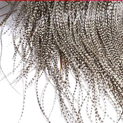 10 Natural Black & White Striped Rooster Saddle Feathers - Micro-Level Fly Tying Feathers for Hook Tying Materials
