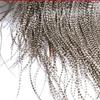 10 Natural Black & White Striped Rooster Saddle Feathers - Micro-Level Fly Tying Feathers for Hook Tying Materials view 1