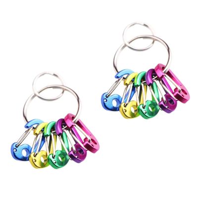 Cabilock 2pcs Aluminum D-Type Spring Buckles Lightweight Keychain Clips for Luggage Bottles and Outdoor Gear for Camping and Travel