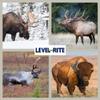 2-Pack Level-Rite Hangers for Taxidermy Big Game Trophy mounts Part Number 1004 view 3