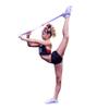 Cheer Kinetic Bands  Leg Resistance Bands for Cheerleaders | Improve Flexibility, Jumps, Stunts & Tumbling | 4-Level Resistance System with 12 Stunt Strap Colors + Digital Training Downloads view 3