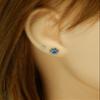 14k Yelow Gold P lated on 925 Sterling Silver with Crystal Paw Print Stud Earrings 5485 (Nickel Free) (Blue Sapphire) view 4