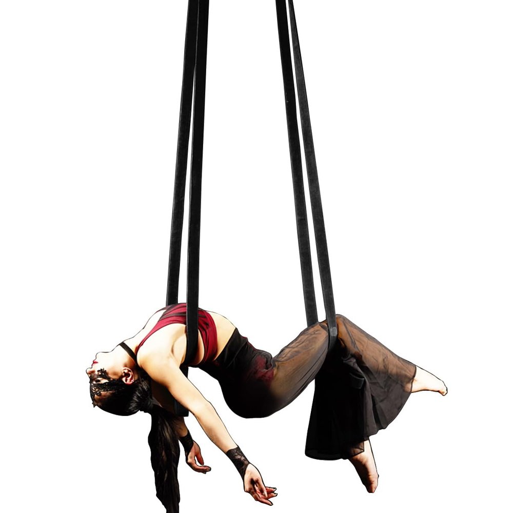 9ft 2.75m Aerial Straps Ropes Yoga Aerial Acrobatics Body Aerial Loop Trapeze Circus Apparatuses Equipment Three-Layer Straps 1 pairs (Black)