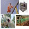 TZLGMDER Children's Climbing net Garden Climbing Cargo Net for Balcony Railing Stairs, Balcony Rope Outdoor Training Sports Net(2 * 5m(6.6 * 15.15ft)) view 2