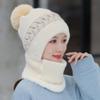 Beanie, Thermal Bib Beanie Hat Scarf Set Winter Plus Velvet Balaclava Windproof All-Matc view 4