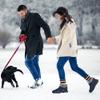 Alicegana Winter Snow Boots for Women: Comfortable Warm Fur Lined Anti Slip Winter Shoes Waterproof Slip On Walking Outdoor Ankle Booties view 3