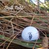 Golf Ball Stamp, Self-Inking Golf Ball Stamper, Golf Ball Marker, Reusable Golf Ball Marking Tool to Identify Golf Balls, Golfer Gift, Golfing Accessories for Men and Women, (Grim Reaper) view 2