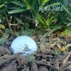 Golf Ball Stamp, Self-Inking Golf Ball Stamper, Golf Ball Marker, Reusable Golf Ball Marking Tool to Identify Golf Balls, Golfer Gift, Golfing Accessories for Men and Women, (Dont Tread on Me) view 2