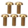 5 Pieces Bolts, Titanium M5 12 Bikes Water Bottle Cage Bolt M5 10 Disc Brake Screws for Bikes Bottle Cage (M5*10 Gold)