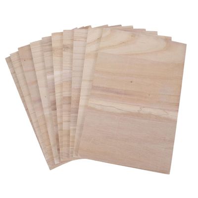 KICHOUSE 10pcs Professional Punching Board for Boys and Girls Adults Taekwondo Hit Board Training Test