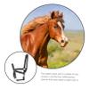 BIUDECO Nylon Horse for Use and Comfortable Headcollar for Training and Riding view 4