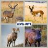 2-Pack Level-Rite Hangers for Taxidermy Big Game Deer Head Trophy mounts Part Number 1003 view 3