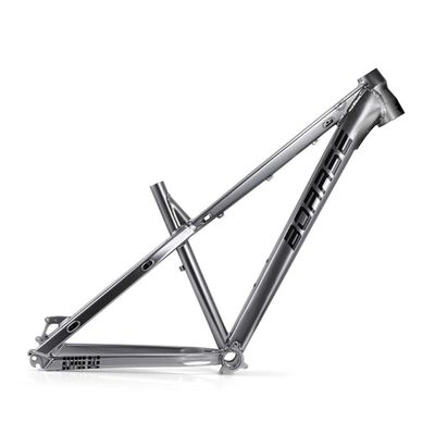 BSFHQS Dirt Jump Bike Disc Brake Frames 26er*15" 27.5er*17" AM/DH Trail Mountain Bikes Frame Aluminum Alloy Hardtail Quick Release Frame 10 * 135mm QR(Titanium,27.5 * 17")