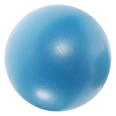 Gogogmee Mini Core Ball for Yoga and Exercise Ball for Physical Therapy and Stability Includes Pump for Home Workouts and Fitness