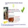 New Handmade reproductive Checker Engraved Padauk Wood Grips Compatible with Ruuggerr GP 100, Super Redhawk, #GP100-03 view 3