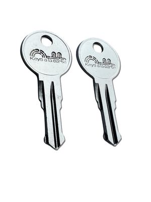 Thule Replacement Keys Cut to Code N001-N200 Compatible with Thule Roof Racks & Carriers