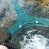 Fiskenet EEL Fishing Net Mesh Trap with Iron Chain Bobber - Folding Crab Cage for River Block Fishing - Mouth Width 8m/10m Shrimp Cage (XXL) view 2