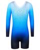 BAOHULU Leotard for Girls Gymnastics Toddler Tank Biketards Shorts Shiny Diamond Kids Dancewear B389_GradientBlue_110 view 1