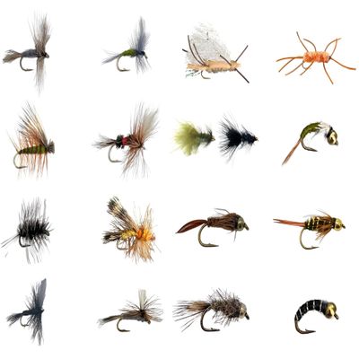 Feeder Creek Fly Fishing Assortment | 48 Premium Flies with Ebooks | Popular and Effective Trout and Bass Flies | Year Round Fly Kit