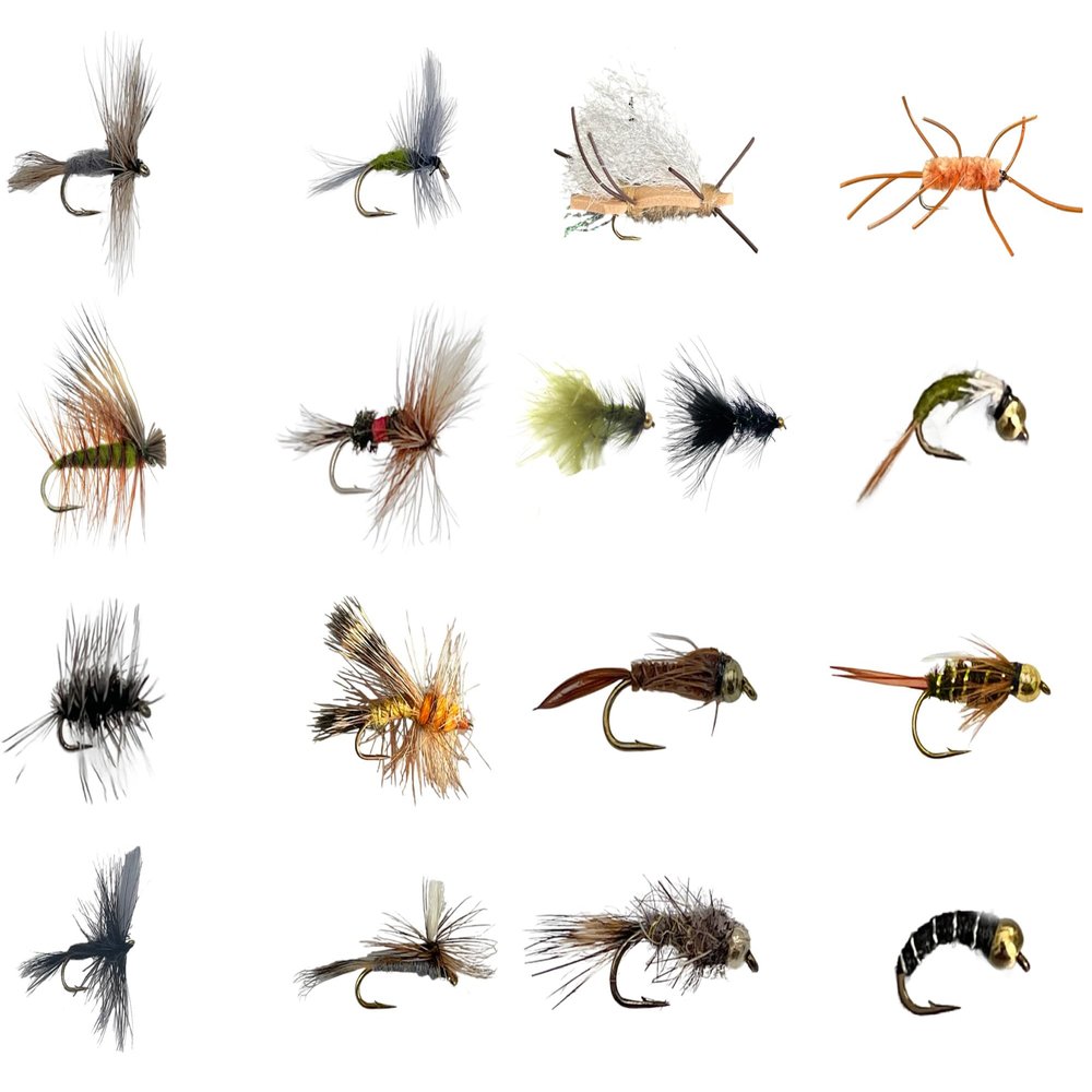 Feeder Creek Fly Fishing Assortment | 48 Premium Flies with Ebooks | Popular and Effective Trout and Bass Flies | Year Round Fly Kit