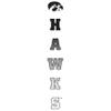 CornBorn Iowa Hawkeyes Apparel Men Shirt - Long Sleeve - Vert Hawks Fade with Tigerhawk - White - Medium view 2
