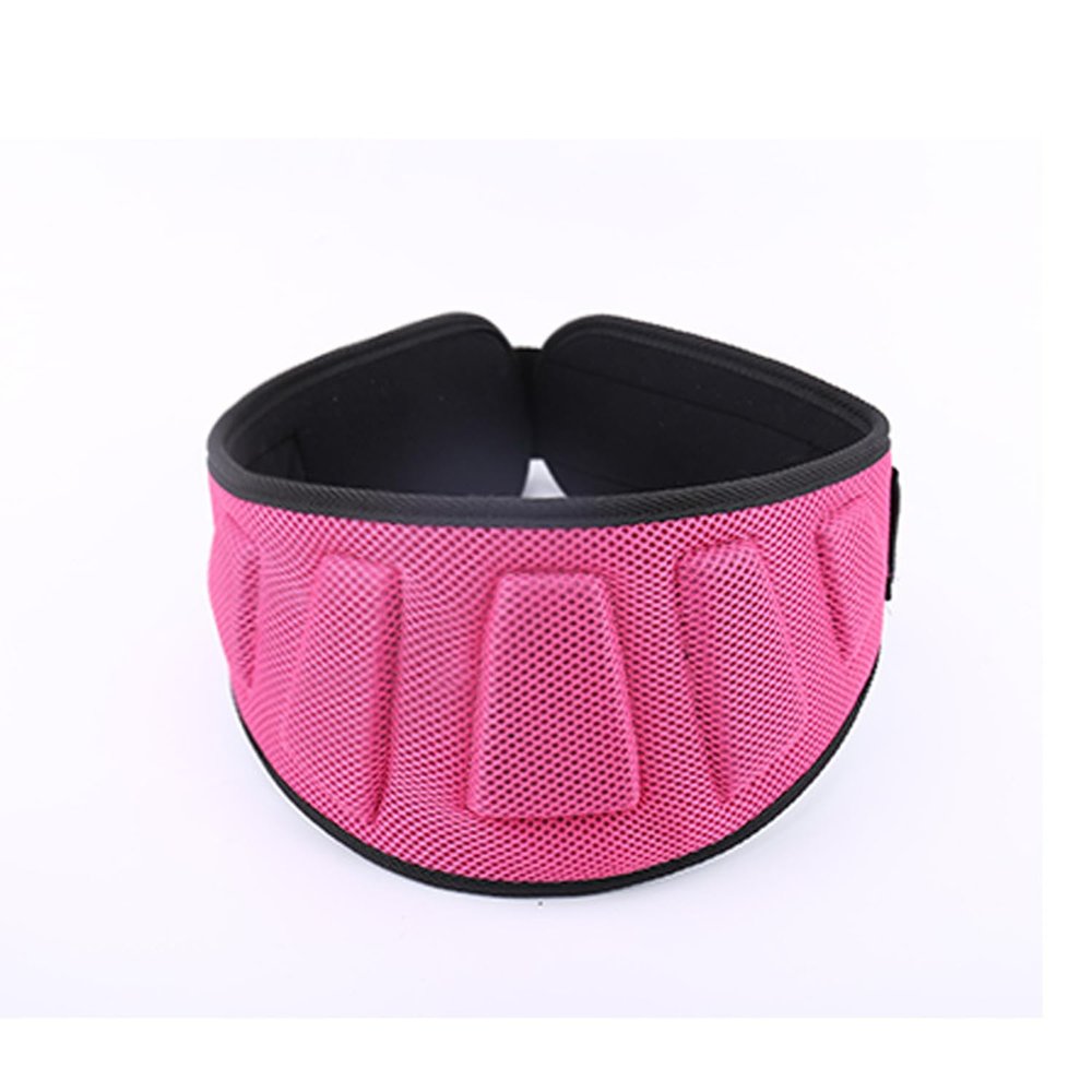 1PCS Weight Lifting Belt - Premium Weightlifting Belt for Serious Functional Fitness, Gym Work out, Weight Lifting, and Lifting Athletes - Lifting Support for Men and Women - Deadlift Training Belt (Pink, X-Large)