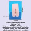 Anatomical models of internal and external genitalia, Catheter Practice Model Anatomy Model with Storage Bag, Catheter Urinary Catheterization Model Genital Model for Medical Education and Training.(M view 3