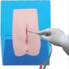 Anatomical models of internal and external genitalia, Catheter Practice Model Anatomy Model with Storage Bag, Catheter Urinary Catheterization Model Genital Model for Medical Education and Training.(M view 4