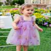 AGQT Baby Girls Tulle Dress Sleeveless Floral Butterfly Tutu Dress Toddler Girls Birthday Party Princess Dresses Casual Flower Embroidery Toddler Dresses Purple Size 18-24 Months view 3