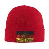 Silk Style Flag of East Germany Beanie for Men Women Knit Cuffed Beanies Warm Winter Hat Skull Cap Red view 1