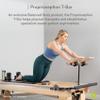 Proprioception T-Bar, Pilates Reformer & Trapeze Table Accessory view 2