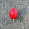 Sandbaggy Plastic Tee Markers for Golf Course (UV Resistant) - Steel Spike - Safety Caps Included (36, Red) view 2