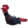 Handmade Synthetic Leather Dummy for Roosters/Mona para GALLOS view 2
